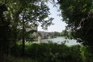 Lutte contre les nuisibles Avignon