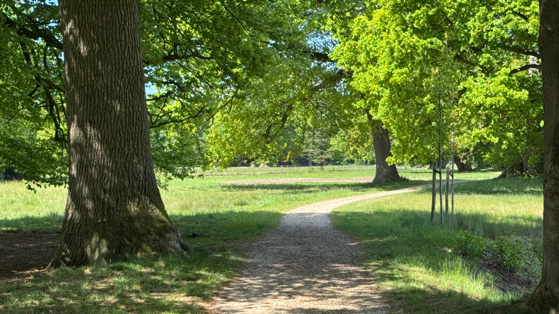 Lutte contre les nuisibles à Avignon